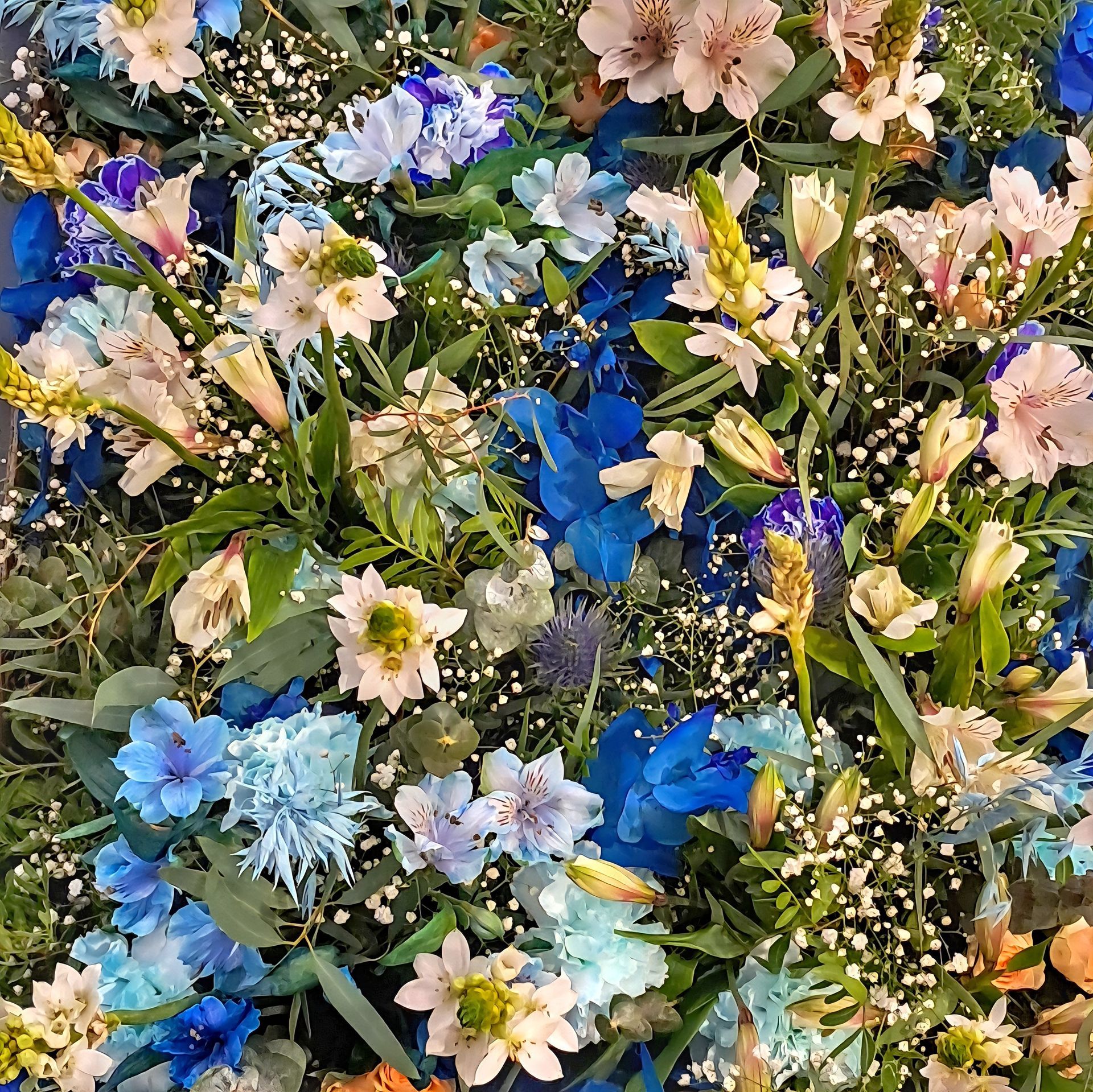 ramodeflorescallealcala