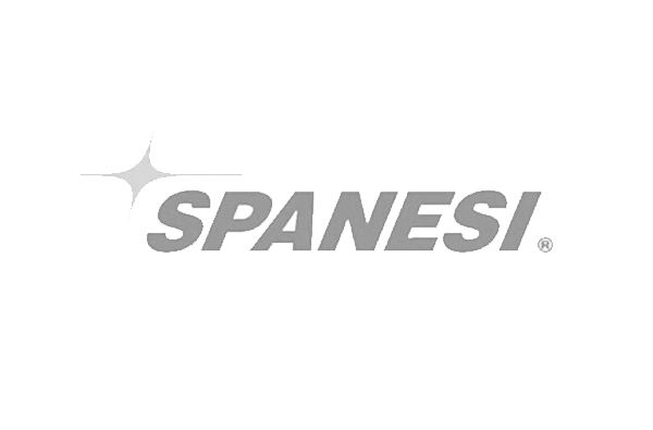 Logo Spanesi
