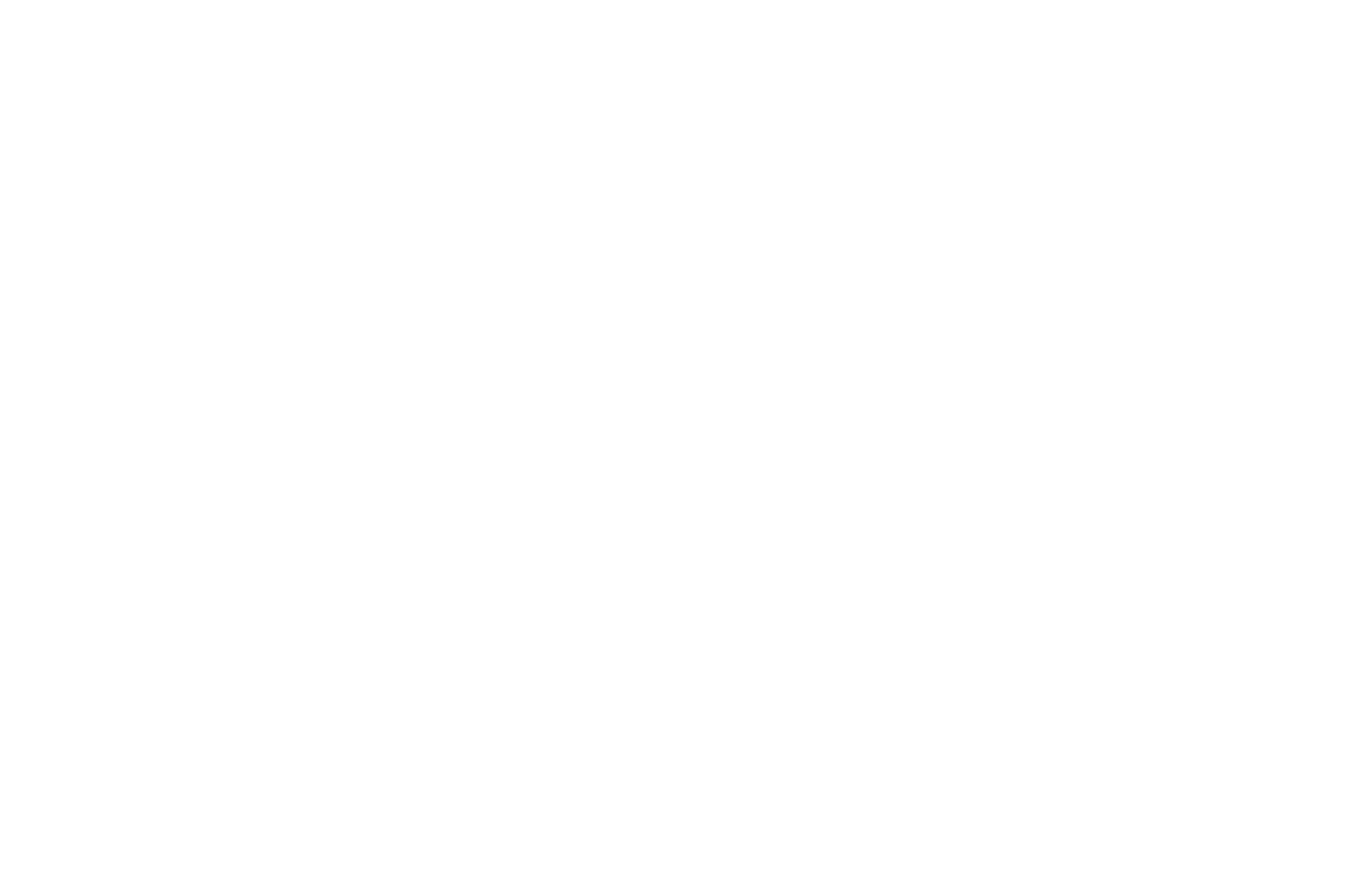 dm Logo