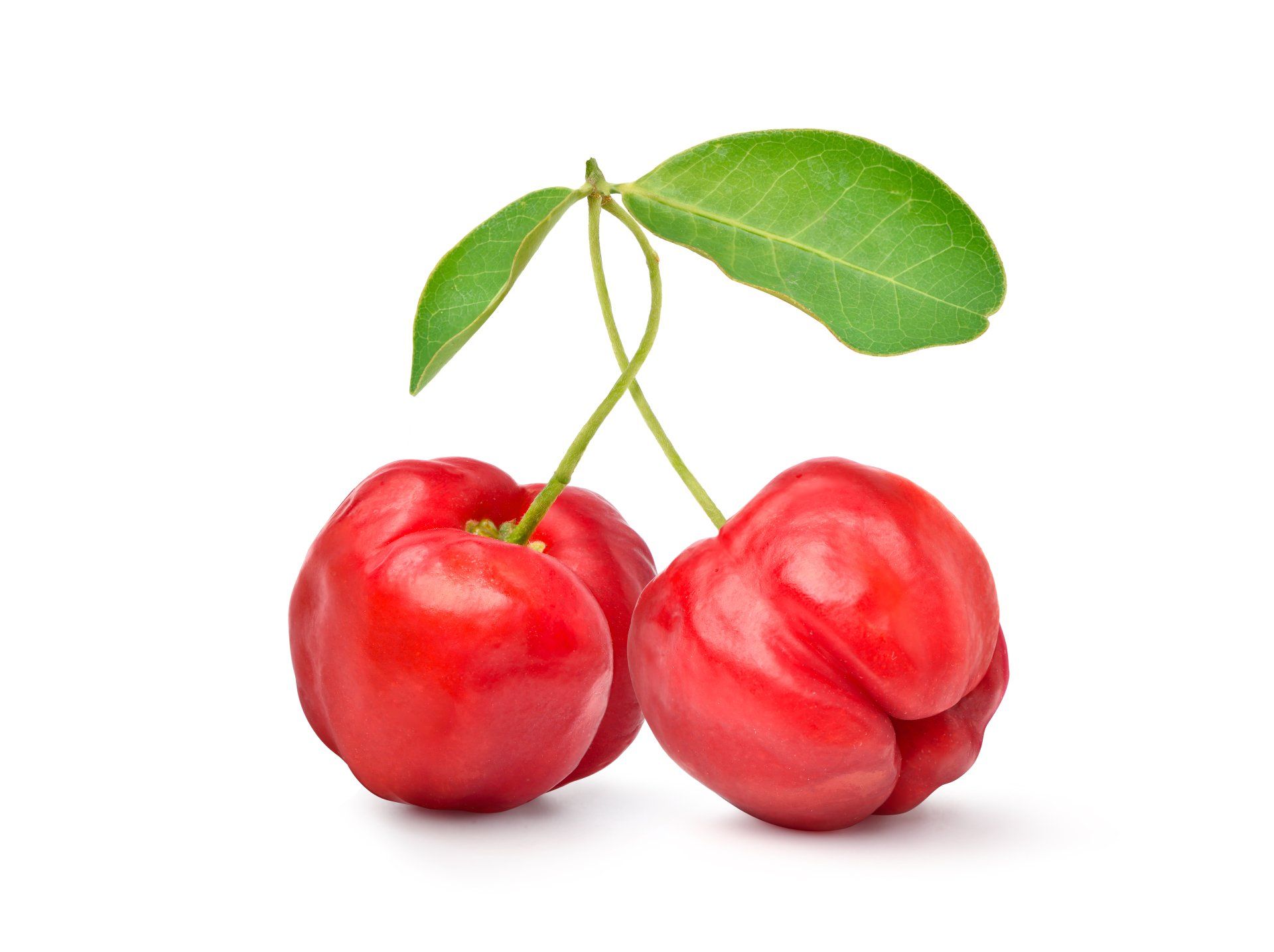 Acerola Kirsche