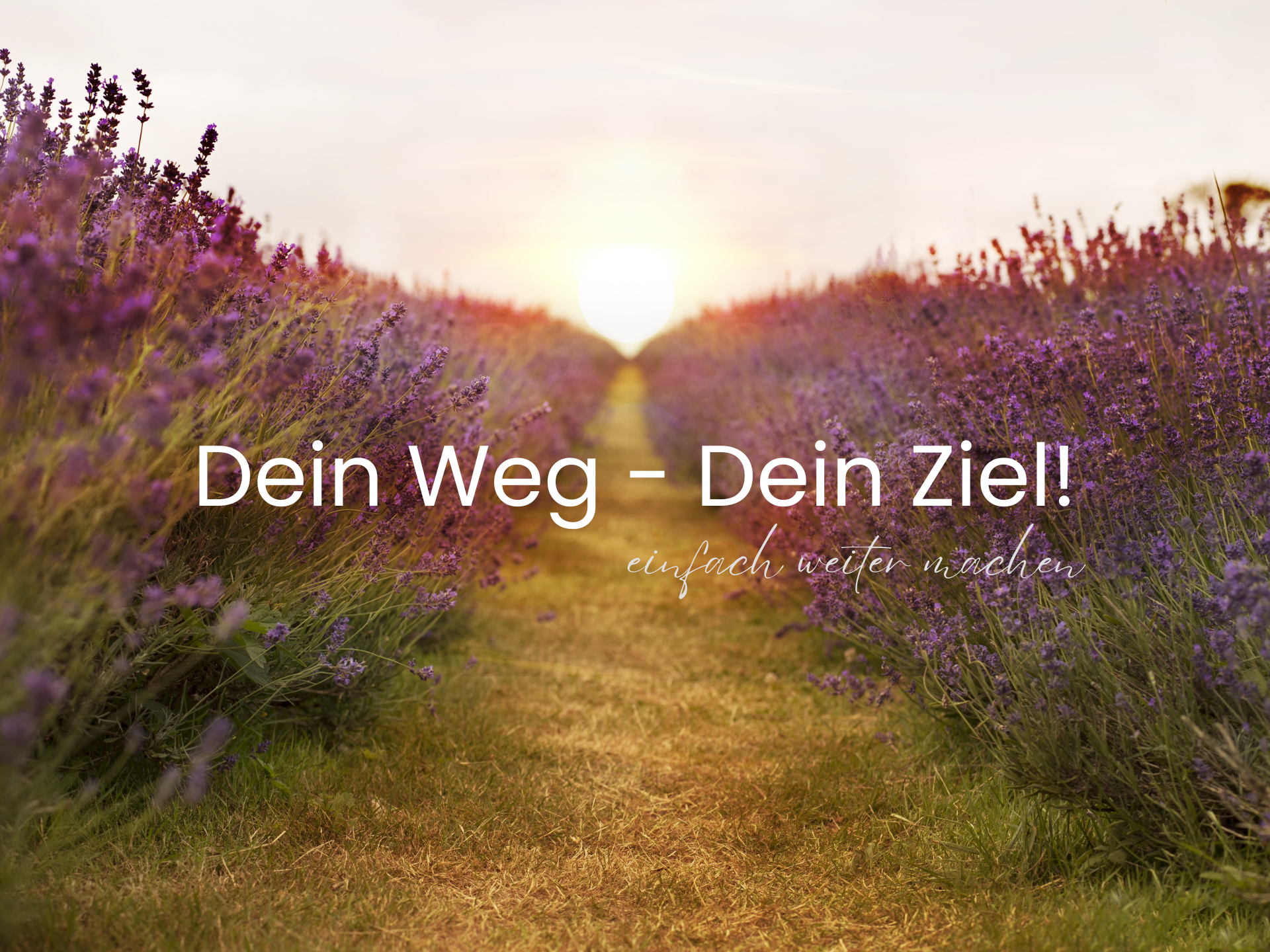 Dein Weg - Dein Ziel