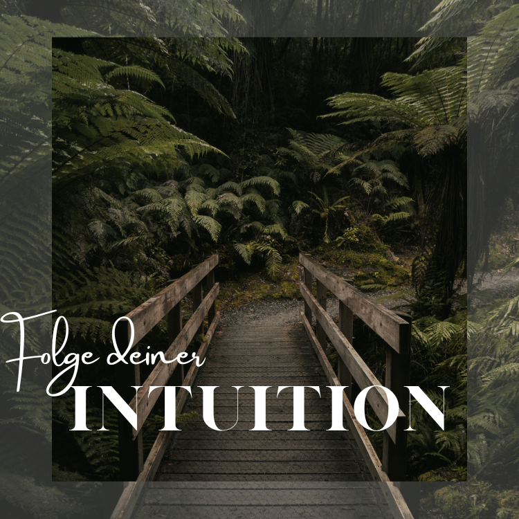 Die geheimen Kräfte in uns – Wie jeder Mensch seine Medialität entfalten kann –