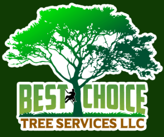Best+Choice+Tree-LOGO