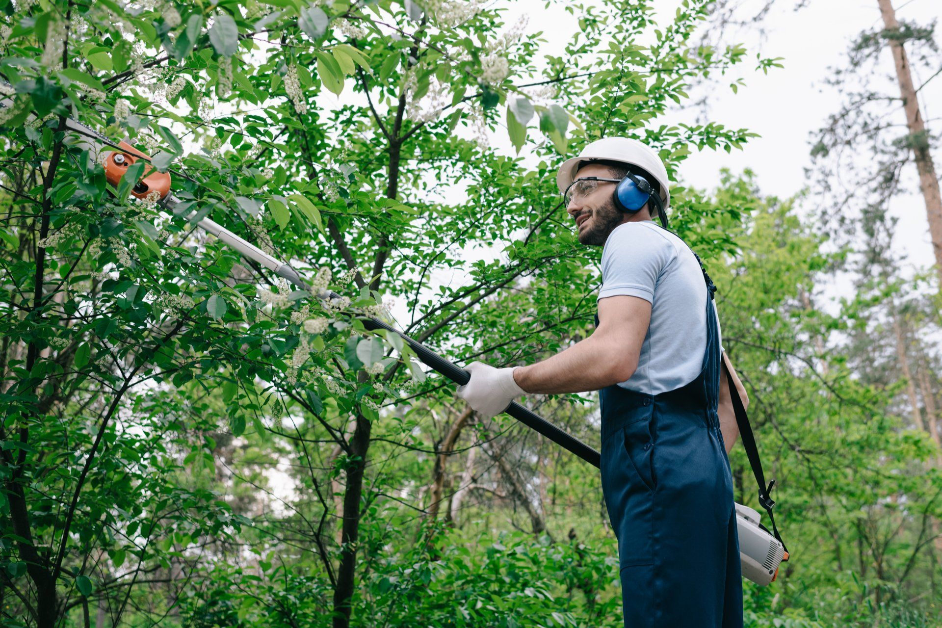 a worker trimming tree branches