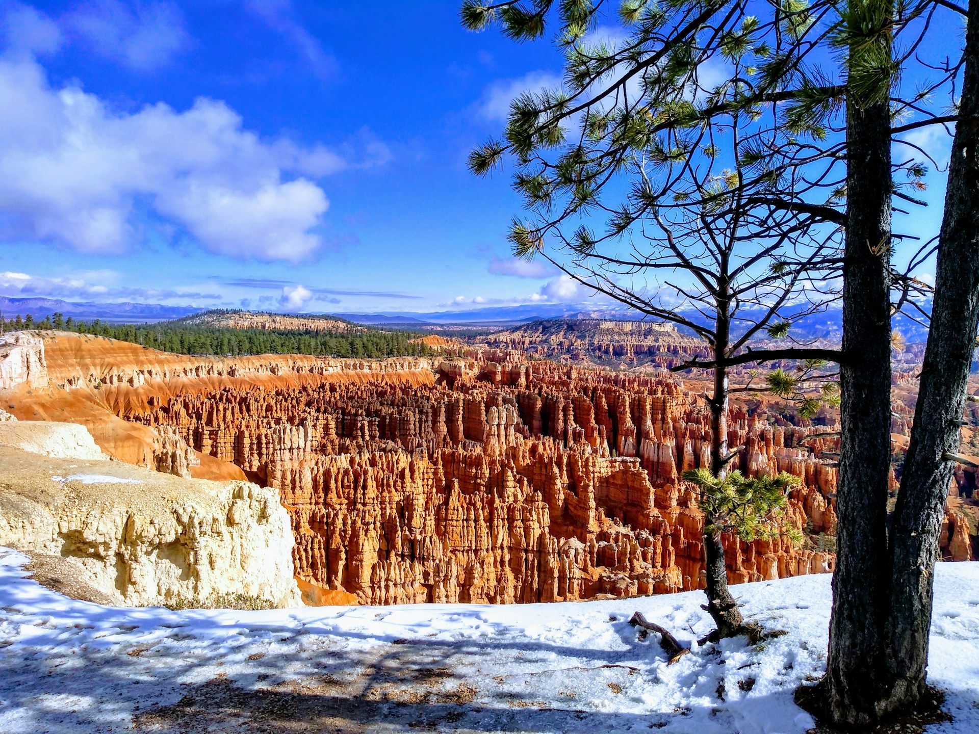 Hoodoos Felsformationen im Bryce Canyon Nationalpark
