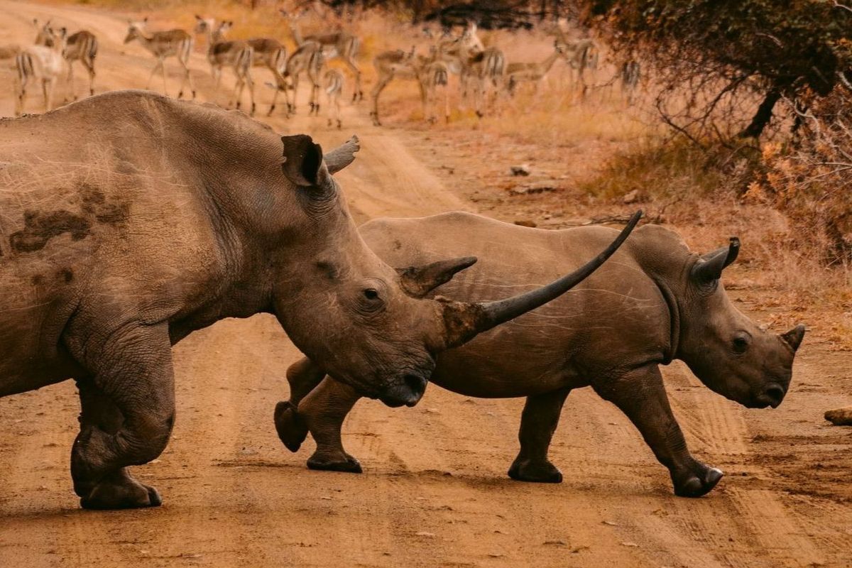 Südafrika Rundreise von Johannesburg zum Kap der Guten Hoffnung