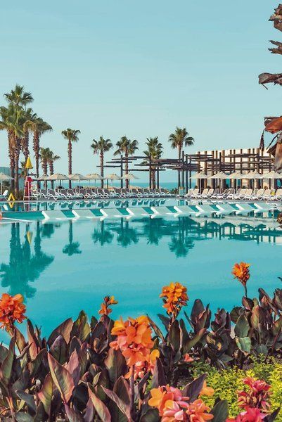 Paloma Orenda Poolliegen