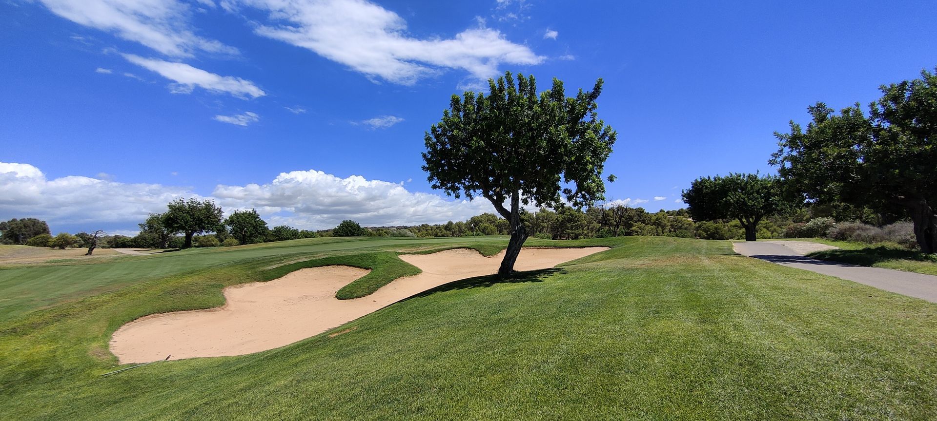 Golfschule Mallorca in Son Gual mit Juan Schmidt Coll