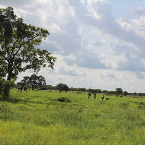 Nasia in der Regenzeit Afrika, Entwicklungshilfe, Waisenhaus, Praktikum, Freiwillige, Freiwilligendienst, Ghana, Nasia, Grundschule, soziales Projekt, Hilfe für Afrika, Sozialpädagoge, Förderverein, Auslandsjahr, Praktikum in Afrika, Abenteuer, soziales Engagement, Spenden sammeln