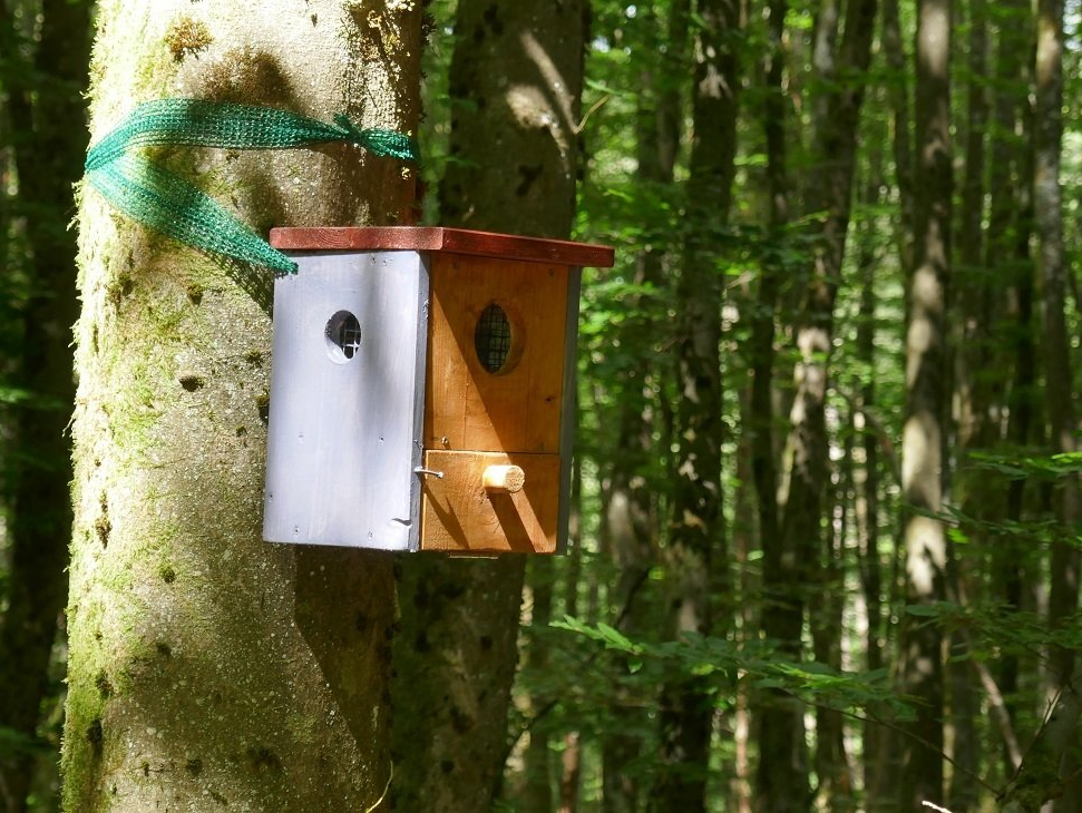 Ein Vogelhäuschen in Augenhöhe an einen Baum gebunden. Das Vogelhäuschen enthält Gedichte.
