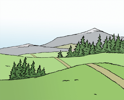 Grafische Darstellung einer grünen Hügellandschaft mit Nadelbäumen.