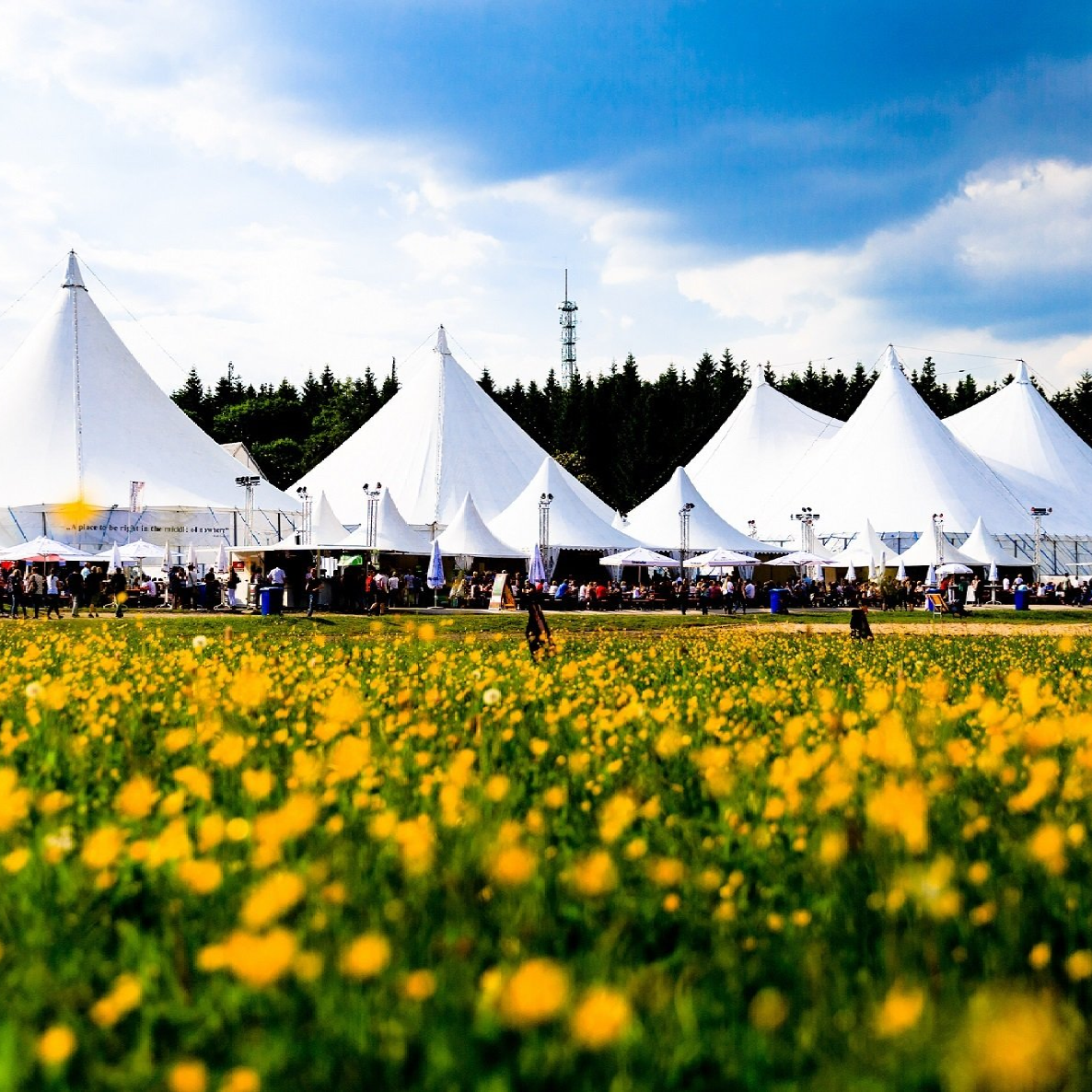 Foto des Festivals Kulturpur mit Wiese und Zelten.