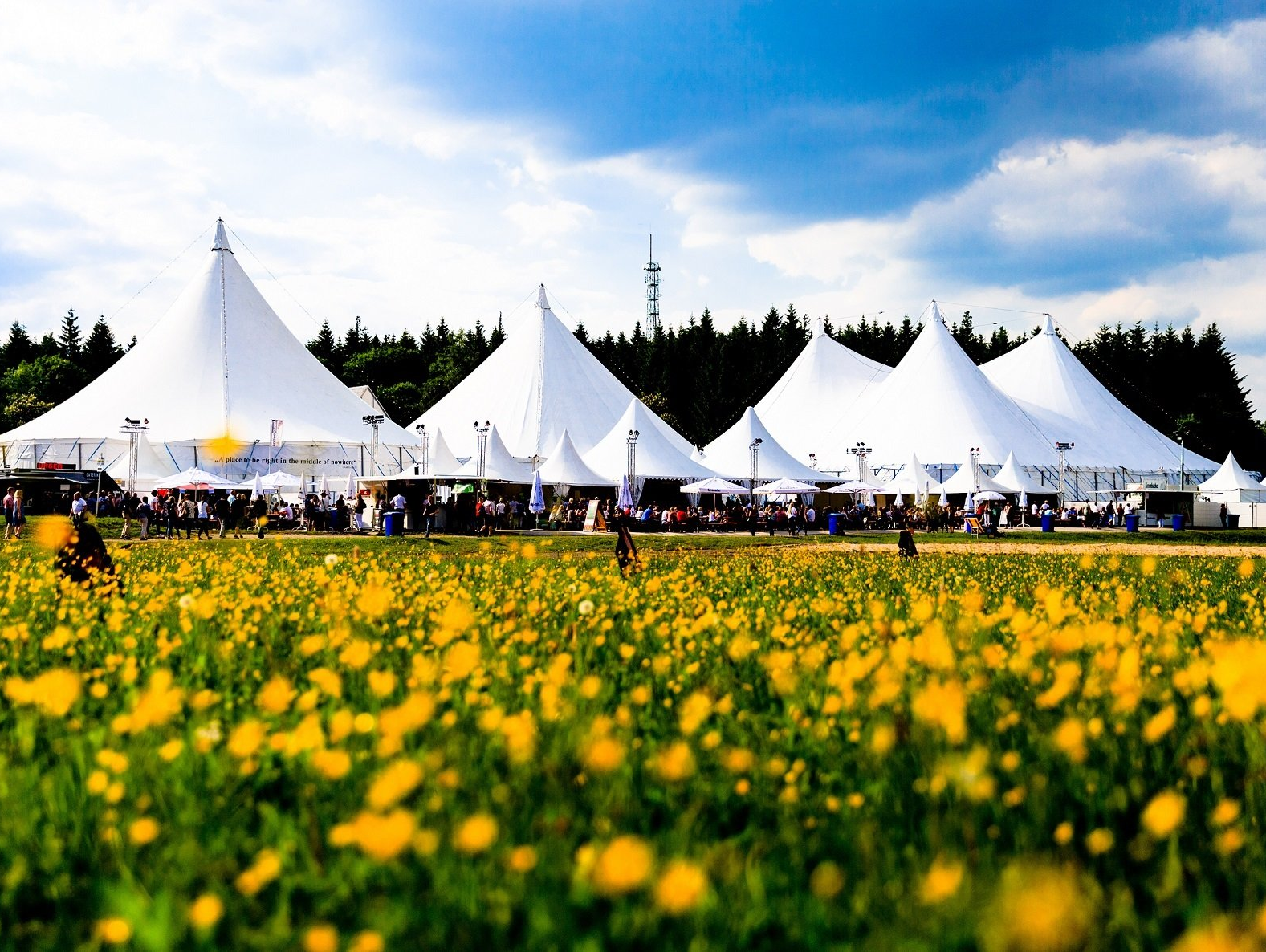 Fünf große spitz zulaufende weiße Festivalzelte, im Vordergrund eine mit gelben Löwenzahnblumen übersäte Wiese, im Hintergrund Bäume.