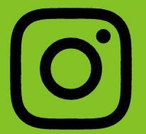 Instagramlogo auf grünem Grund