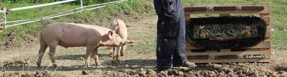 Zwei Schweine stehen hinter dem Künstler in Arbeitshose, dahinter die Schubberstücke, Bürsten auf einer Holzpalette montiert.