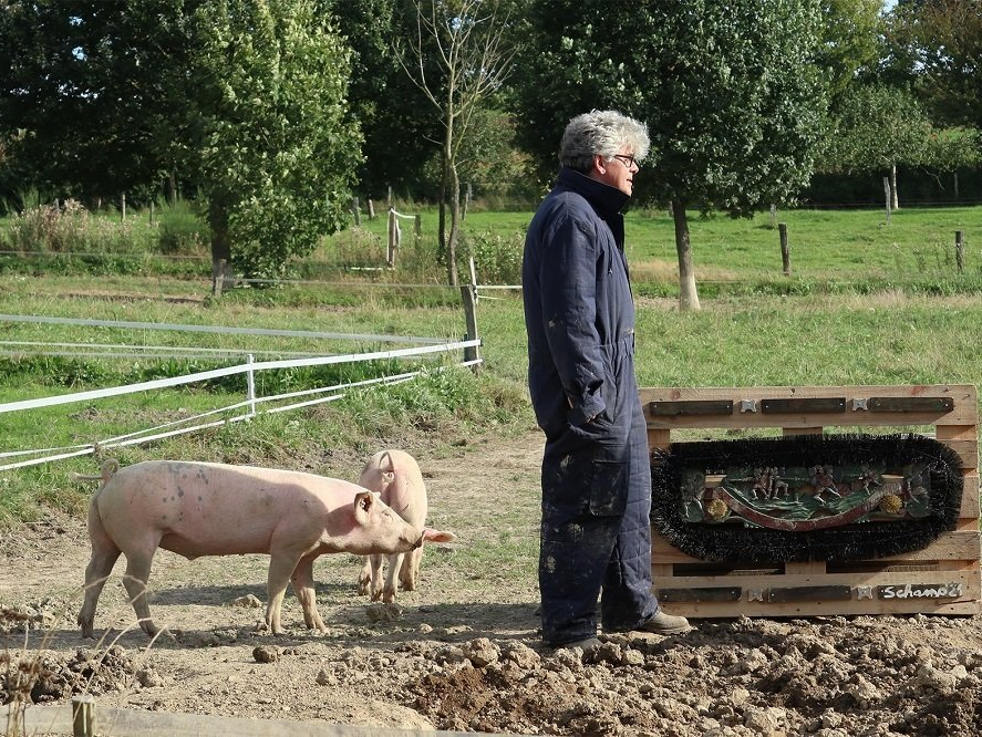 Der Künstler Matthias Schempe auf einer Wiese mit zwei Schweinen, wo das Kunstwerk 