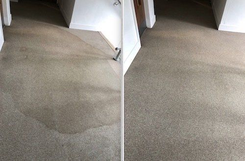 Carpet-Cleaning-Stains-Rug-Clean-Stafford-Stone-Weston-Uttoxeter-Rugeley-Stoke-Staffordshire