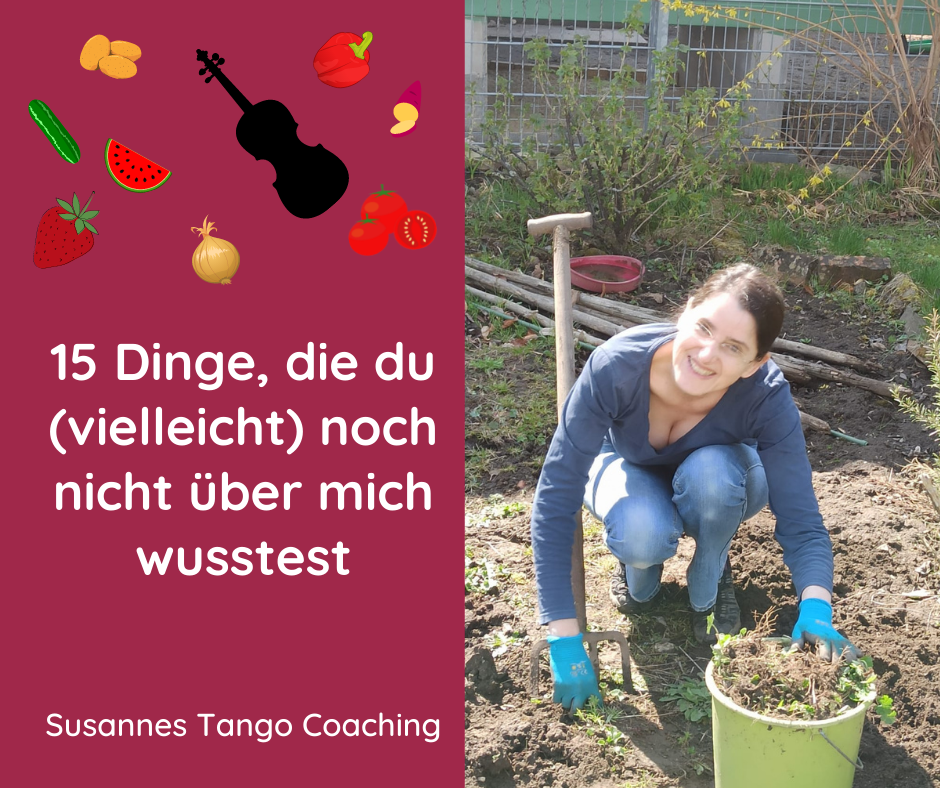15 Dinge, die du noch nicht über mich wusstest 15 Dinge, die du noch nicht über mich wusstest - Susanne Hofmann, Violine