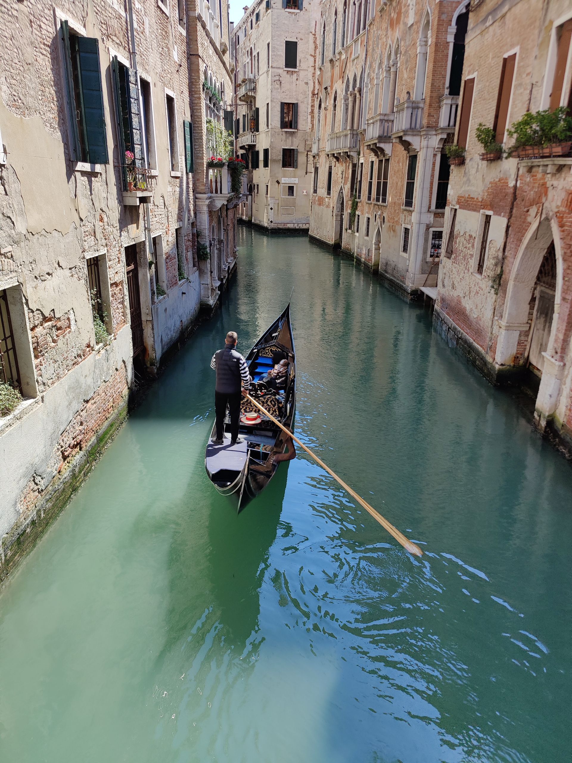 Geige und Tango - Susanne Hofmann Violine