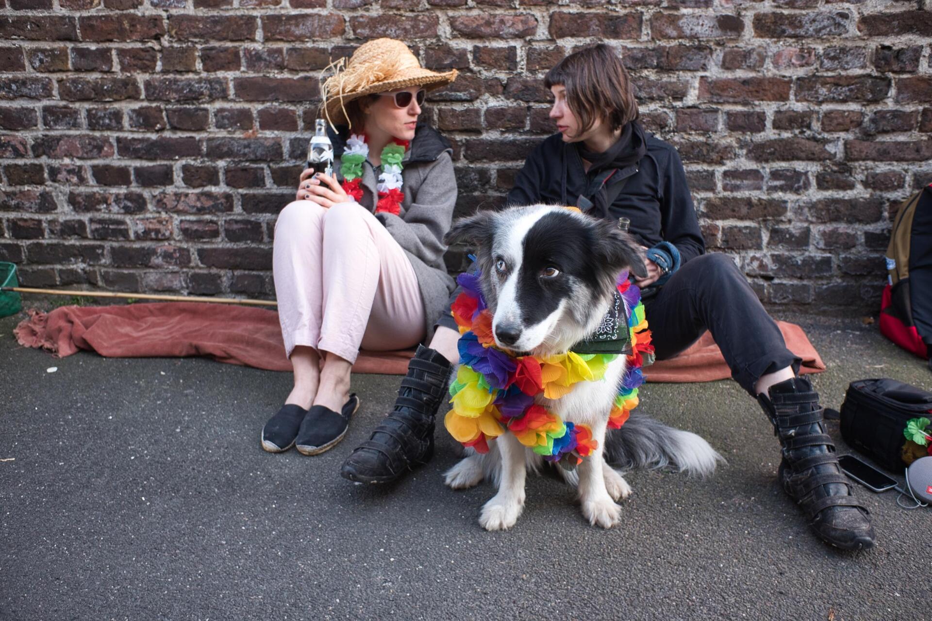 jecker Hund und Frauchen Hipster-Karneval in Köln