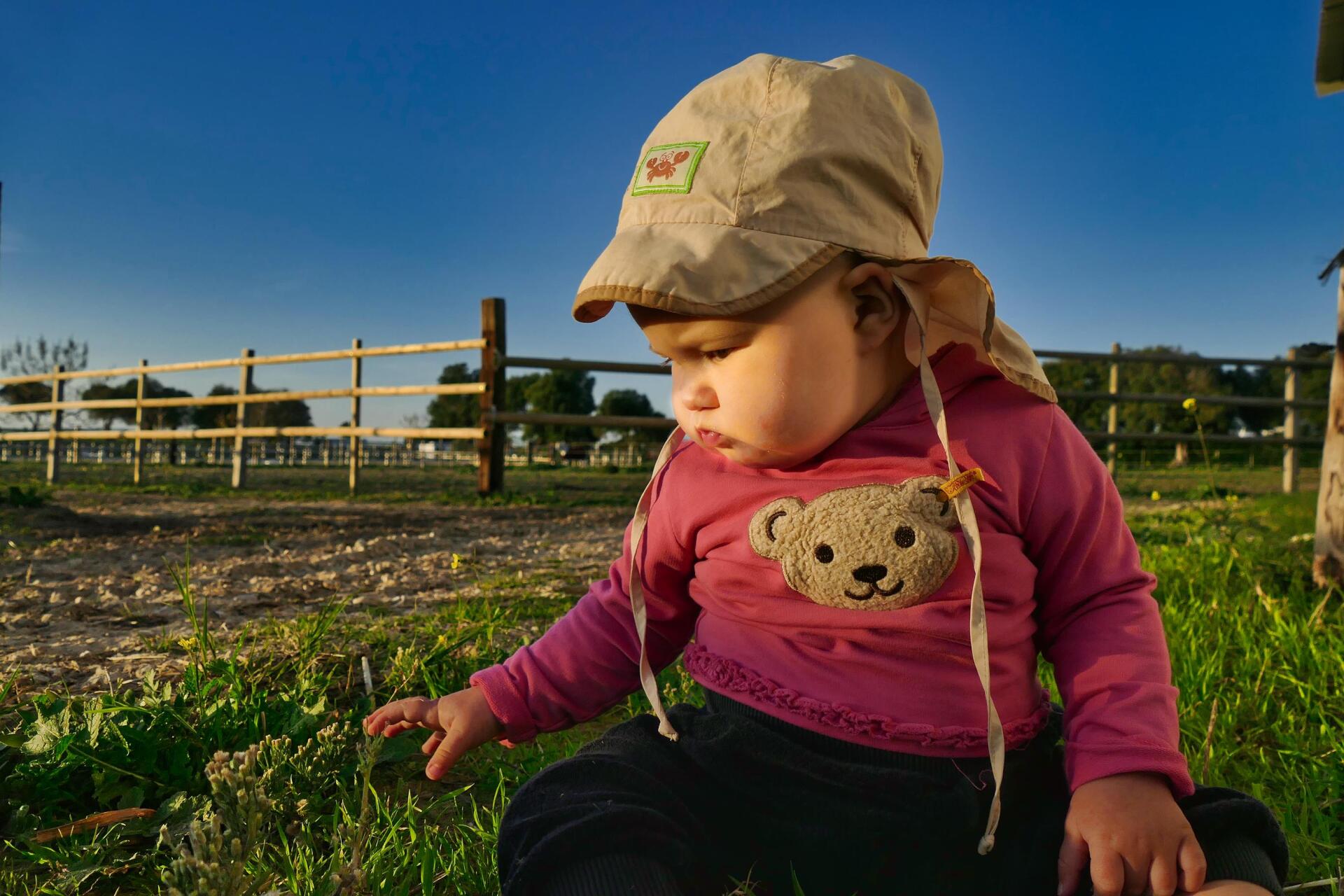 Baby pflückt Gras auf Pferdewiese