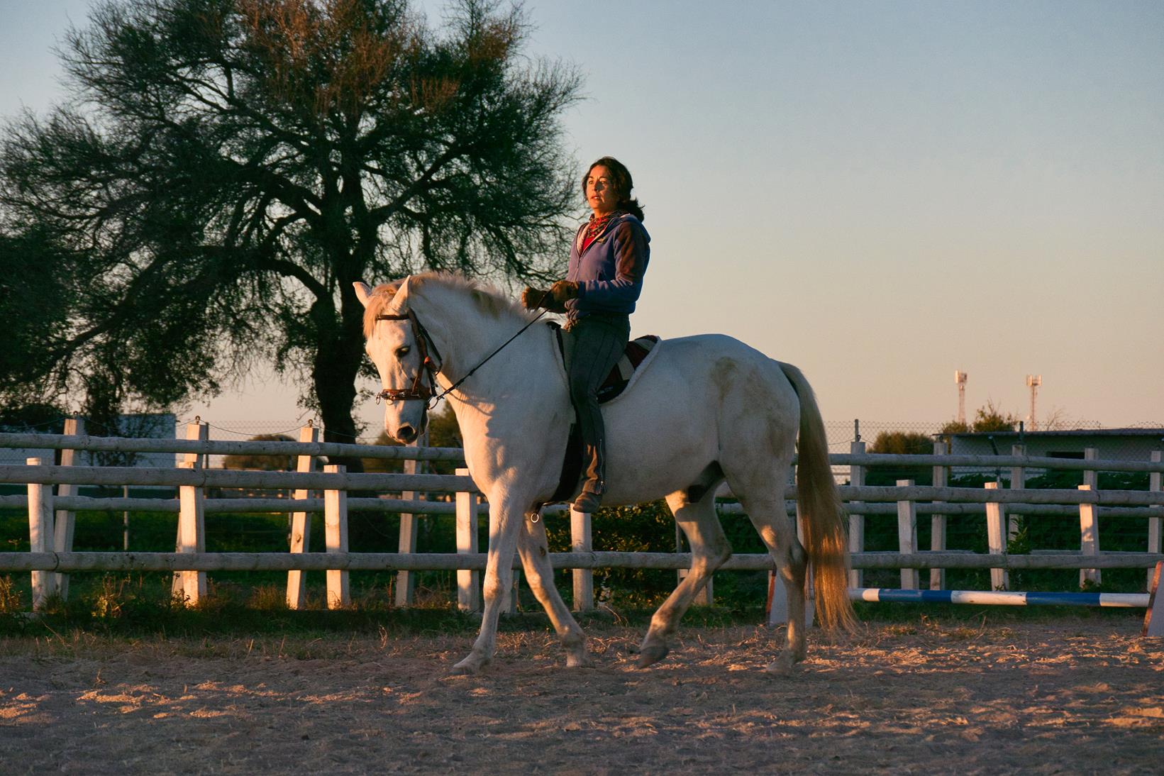 Simin Hinrichs classical Horsemanship, Junghengstausbildung andalusien Fotograf