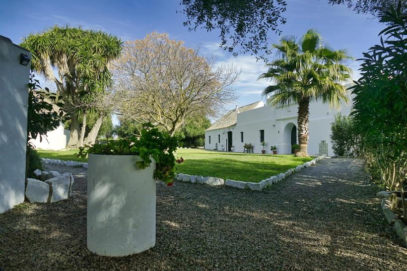 Pferdeflüstern in Andalusien