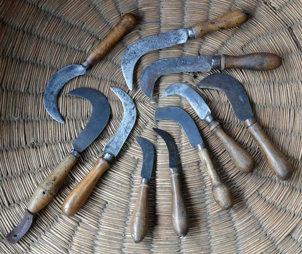 Alte Hippen © Blickfang: Alte Zeiten