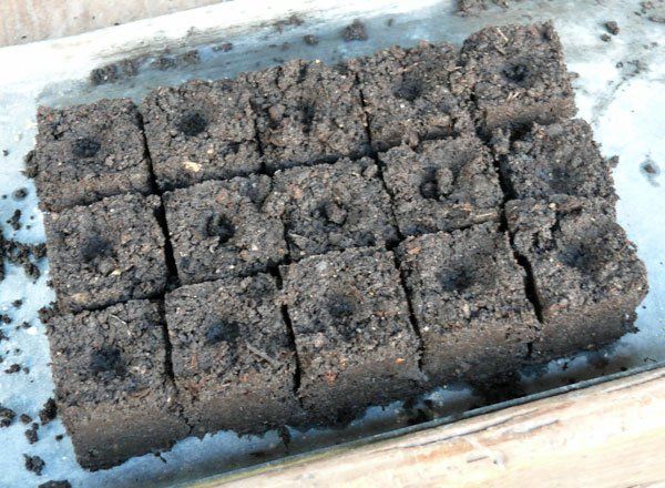 Gepresste Erdtöpfe © Blickfang: Alte Zeiten Gepresste Erdtöpfe © Blickfang: Alte Zeiten