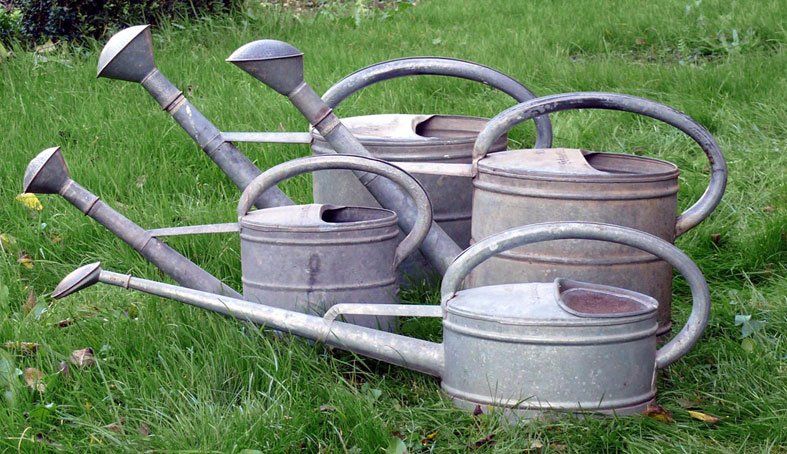 Verschiedene Gießkannen von Schneider, Gewächshauskanne © Blickfang: Alte Zeiten Verschiedene Gießkannen von Schneider, Gewächshauskanne © Blickfang: Alte Zeiten