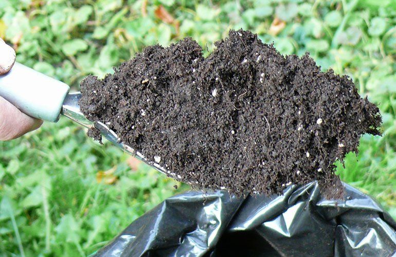 Der Scoop, toll zum Arbeiten in Töpfen und im Beet © Blickfang: Alte Zeiten Der Scoop, toll zum Arbeiten in Töpfen und im Beet © Blickfang: Alte Zeiten