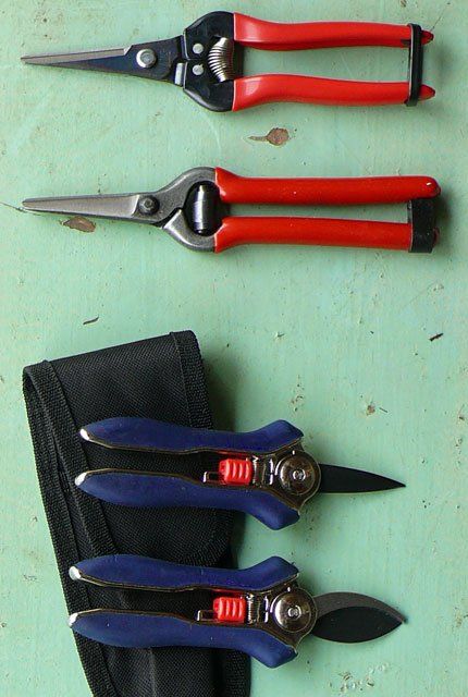 Blumen- & Staudenscheren © Blickfang: Alte Zeiten