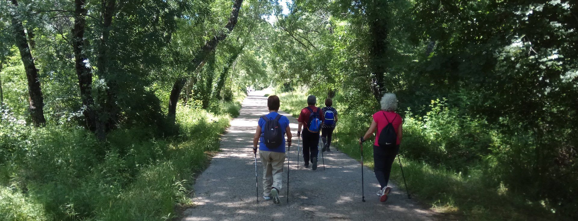 imagen de rutas de marcha nórdica senior Rutas de marcha nórdica