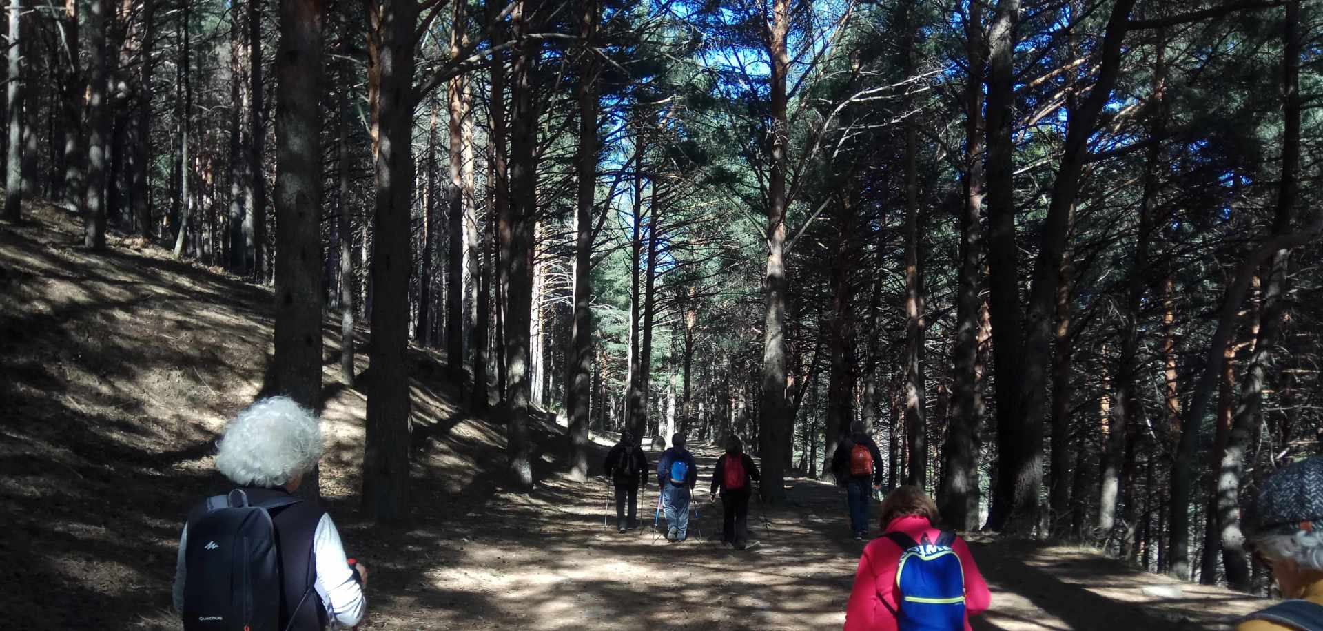 marcha Nórdica en El retiro