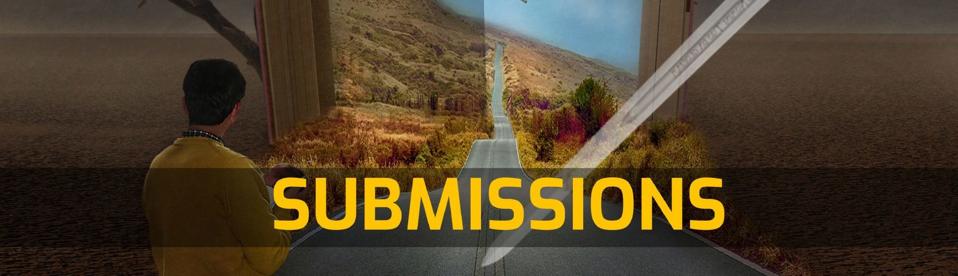 Bear Publications Submissions Guidelines