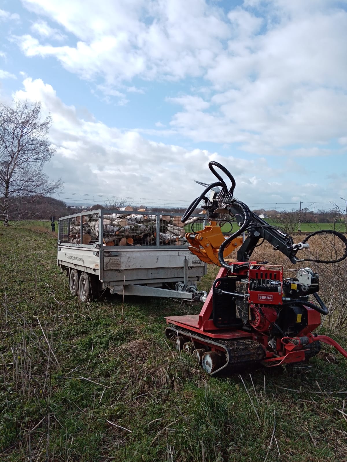 Anhänger mit Brennholz