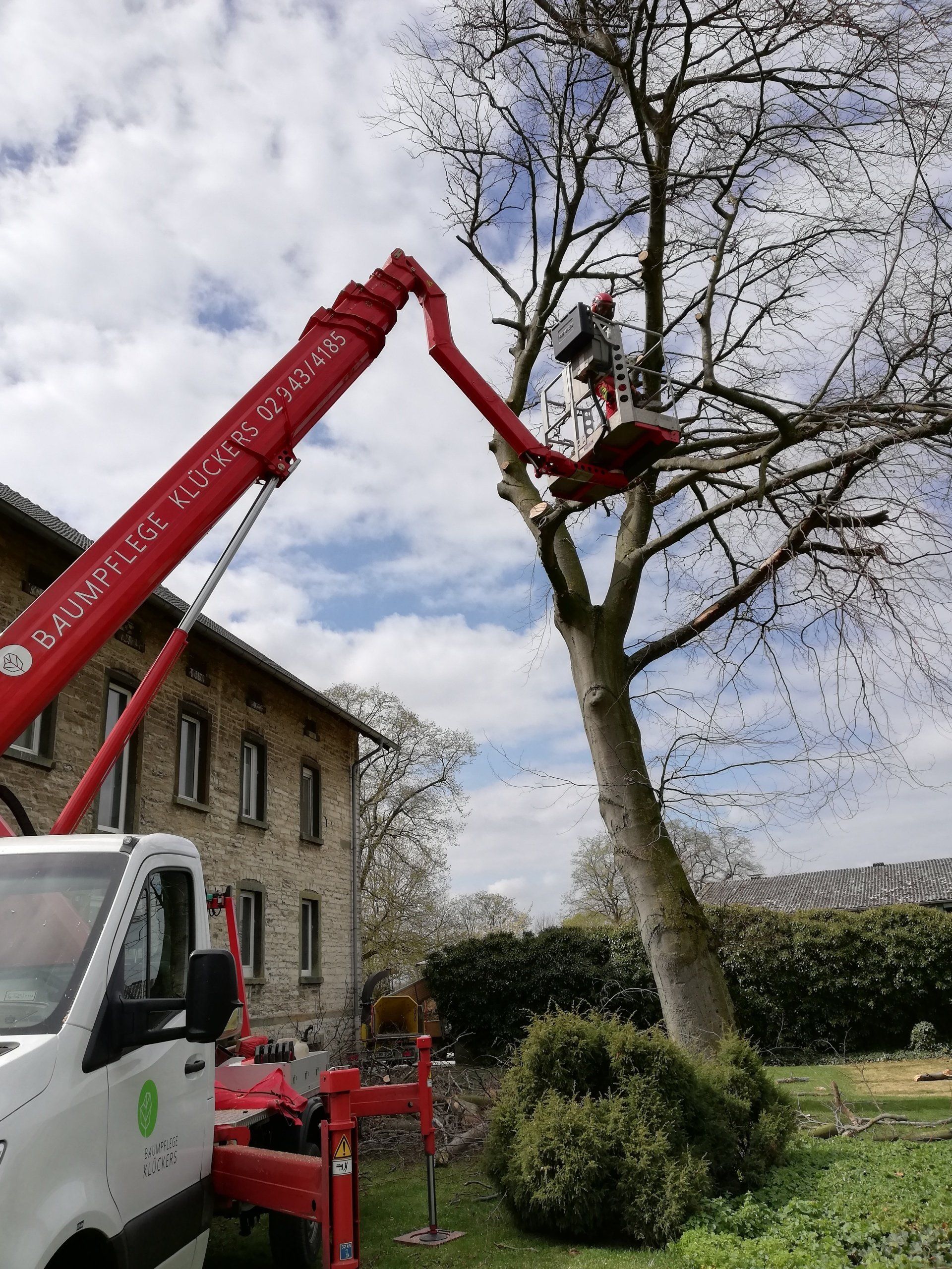 Baumfällung mittels Steiger