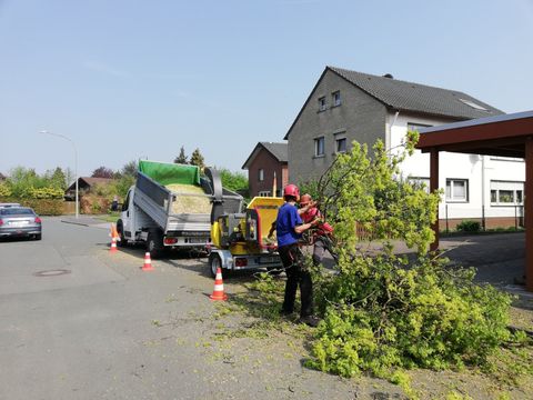 Häckselarbeit bei der Baumpflege oder Baumfällung
