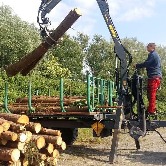 Stammholz wird für den Verkauf verladen