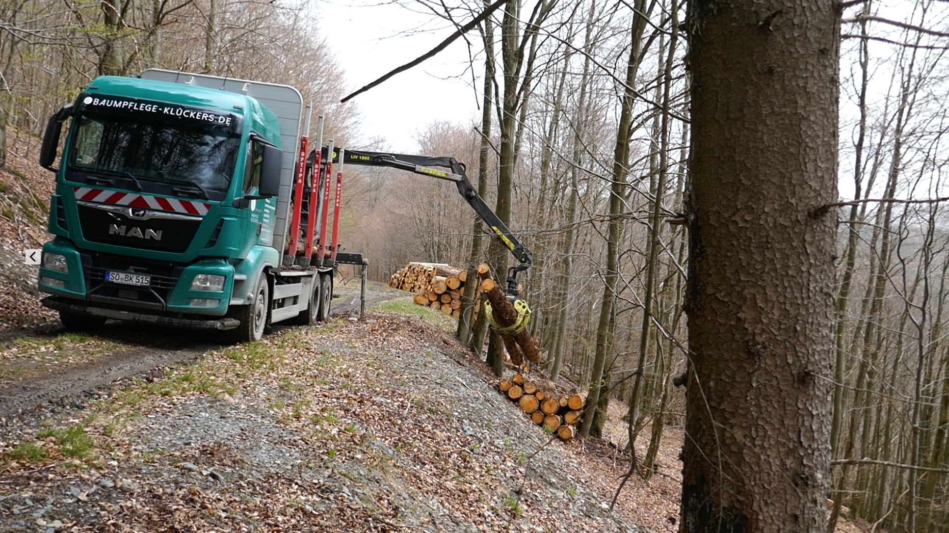 Holztransport im Wald