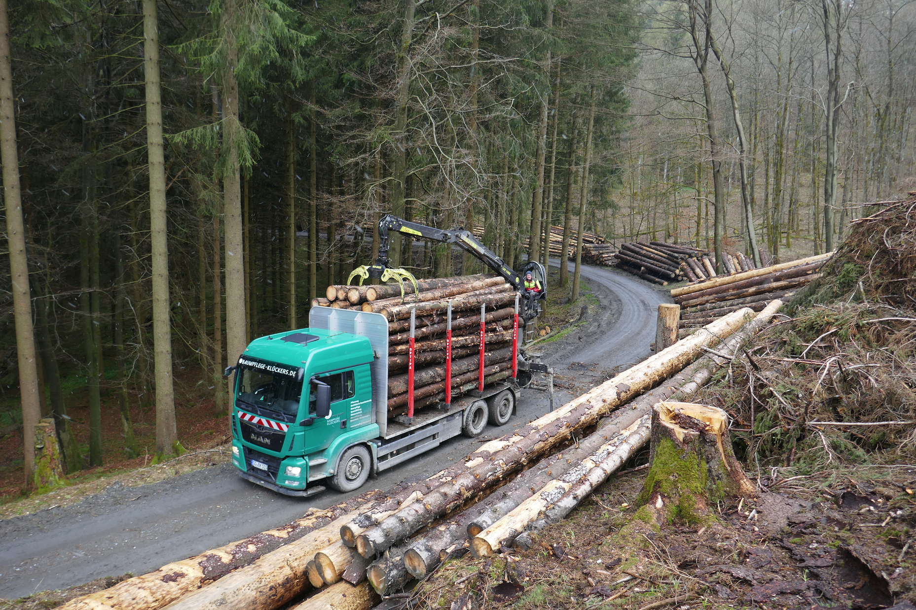 Verladen von Stammholz