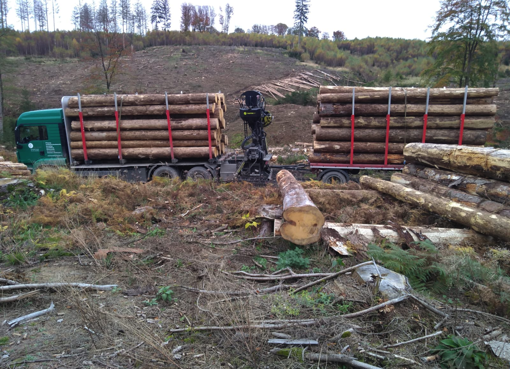 Holztransport mit Anhänger