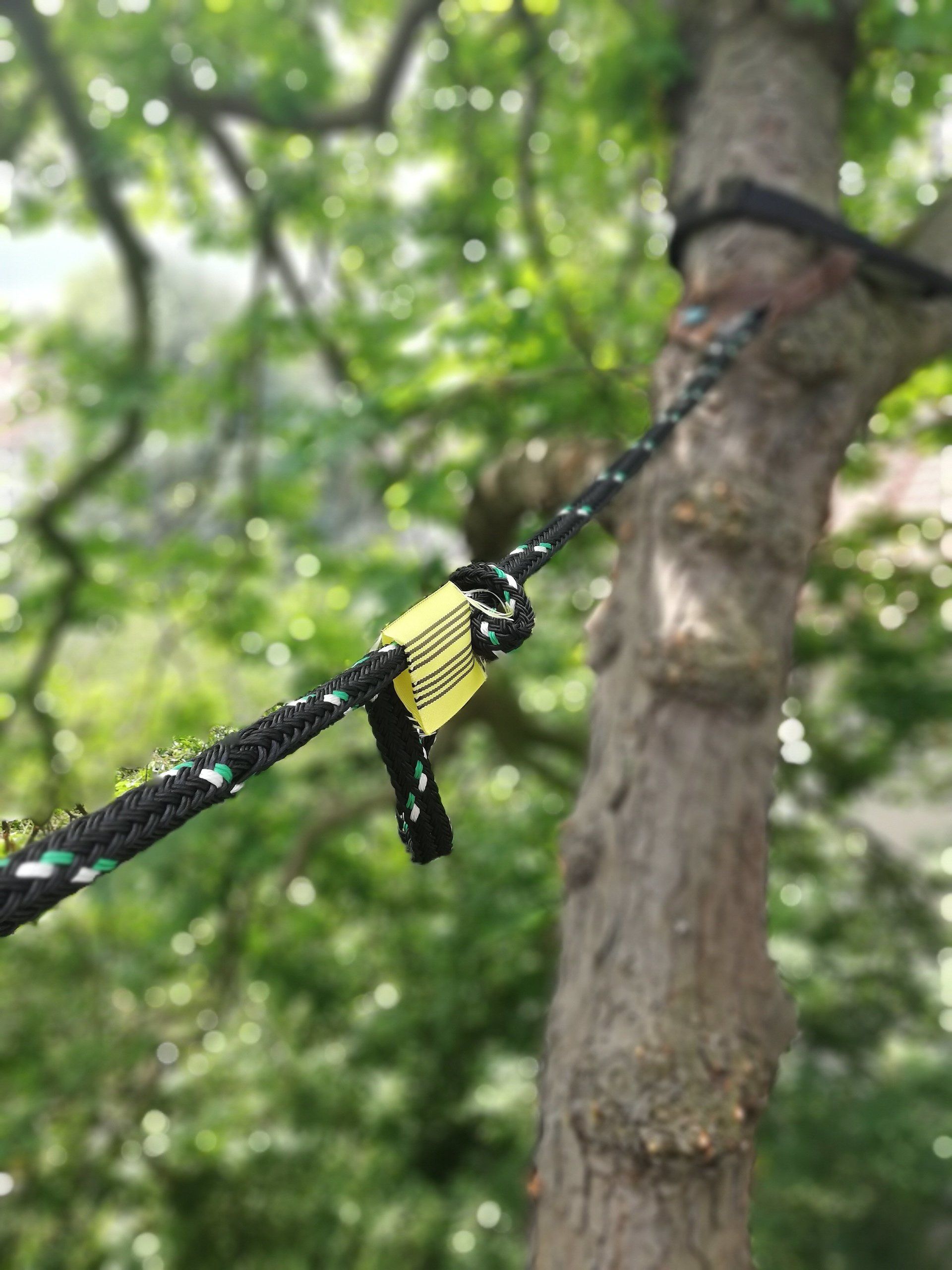 eingebaute Kronensicherung