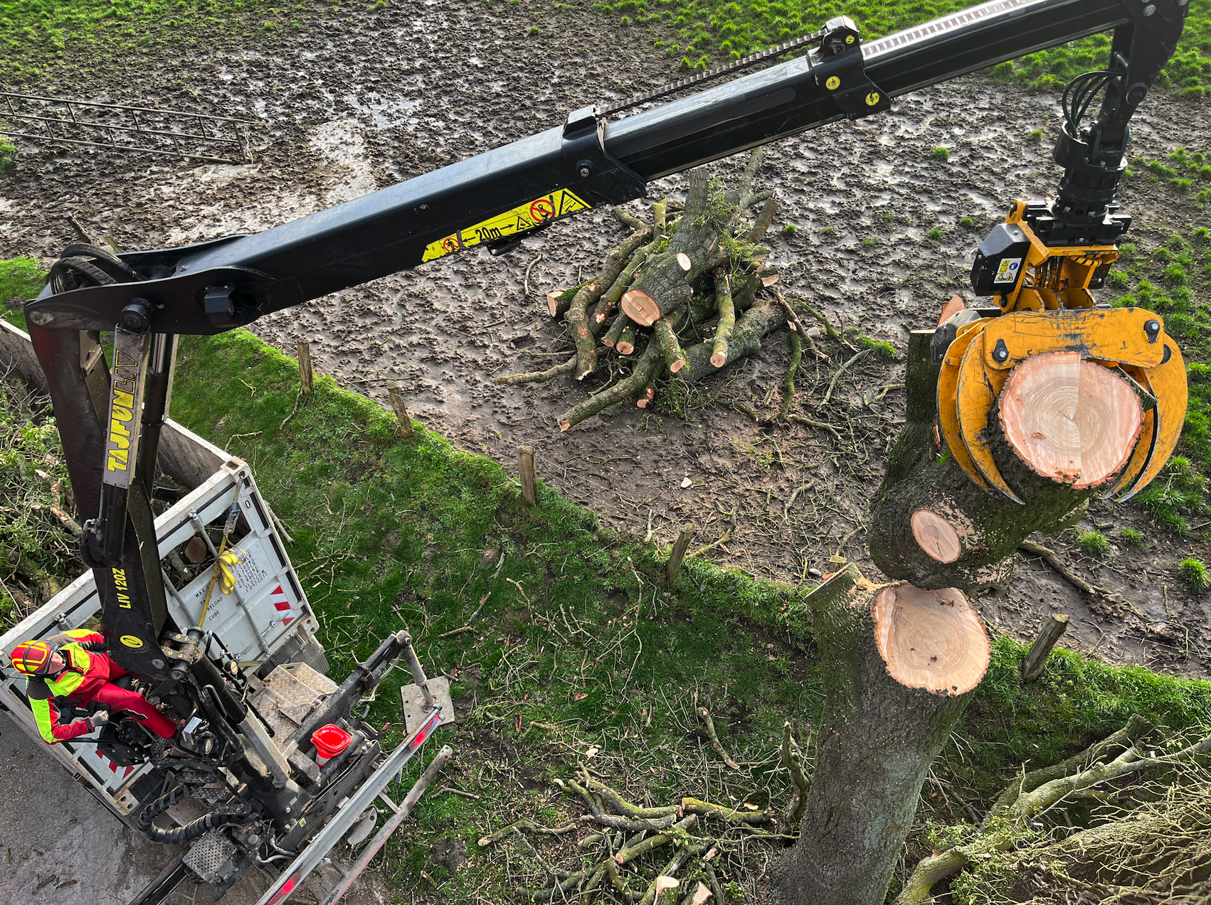 Baumfällung mit Fäll-LKW