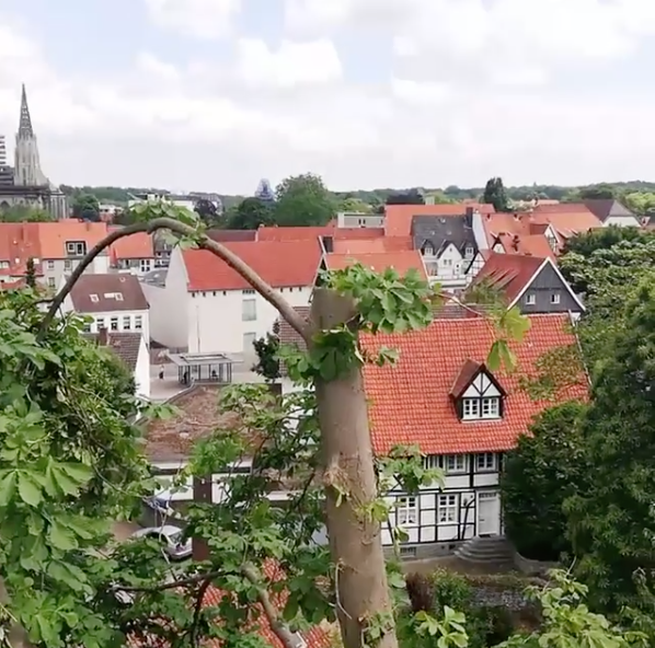 Durchführung einer Kronenkappung