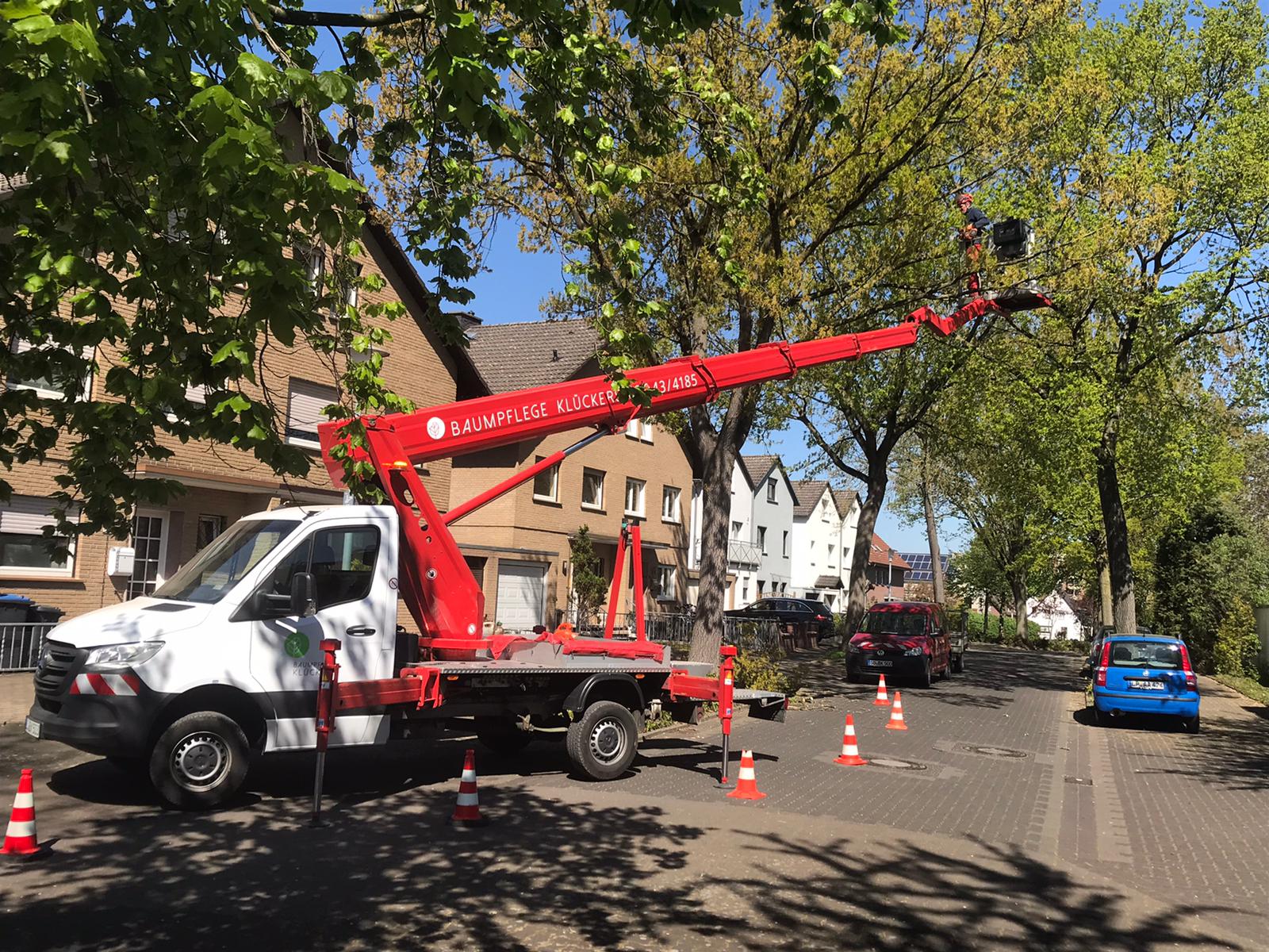 Kronenpflege von Bäumen mit einem Hubsteiger