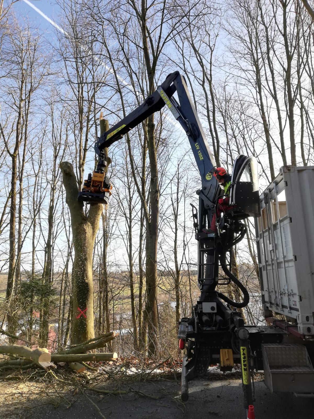 Baumfällung mit Fäll-LKW und Forstkran