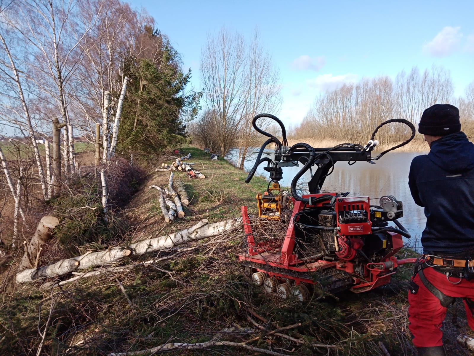 Holzrückung mittels Ironhorse