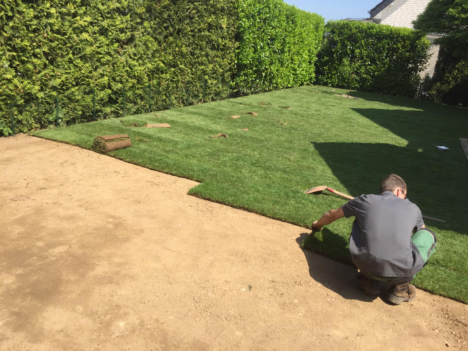 ein Mann verlegt Rollrasen in einem Garten