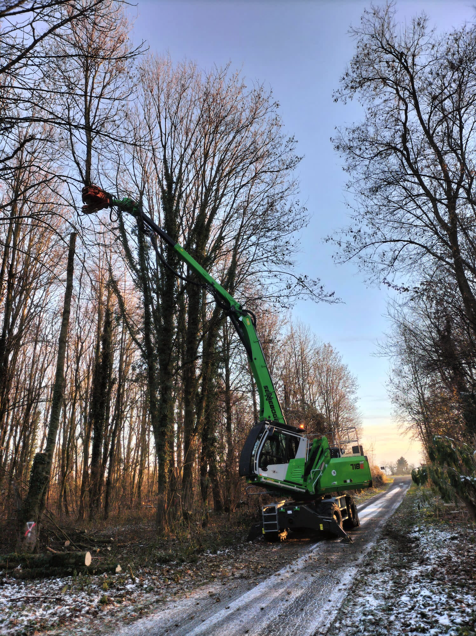 Baumfällung mit Sennebogen